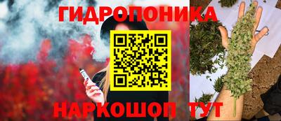 круглые Краснознаменск